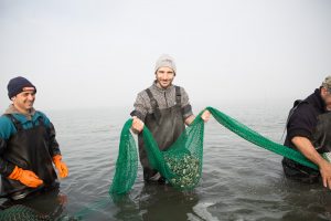 Finittica: lavorazione e vendita di molluschi bivalvi vivi