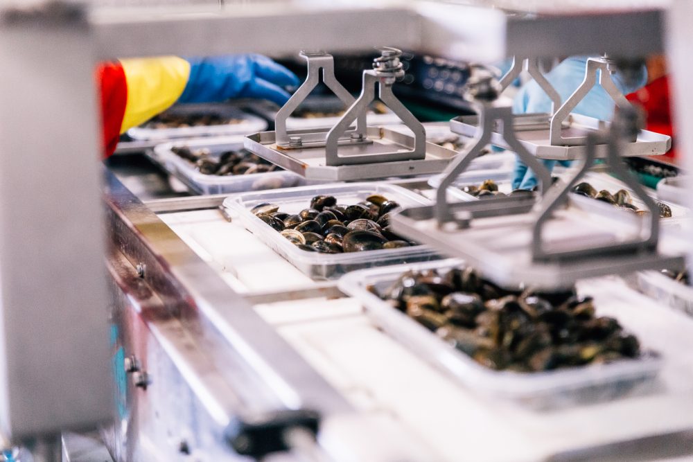 Processo di confezionamento del prodotto | Finittica: lavorazione e vendita di molluschi bivalvi vivi